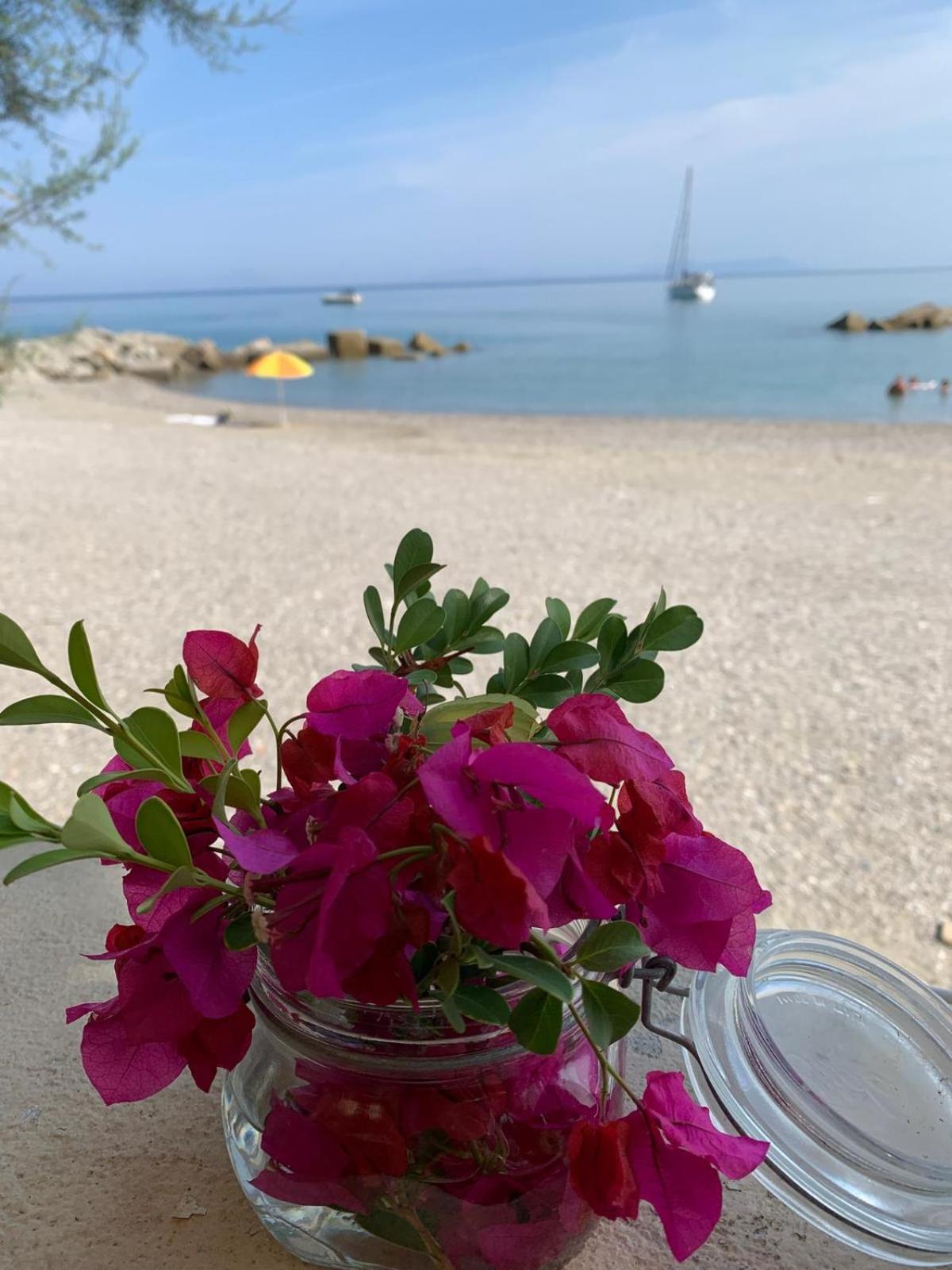 Testa Di Monaco Natural Beach Capo dʼOrlando Eksteriør billede